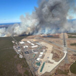 tree-killing-beetle-may-cause-more-wildfires,-long-island-officials-warn