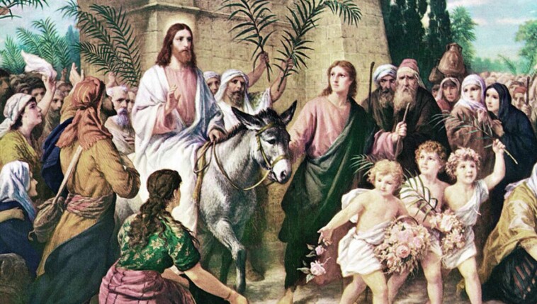 donkey-entering-jerusalem-glad-to-be-finally-getting-recognition-he-deserves