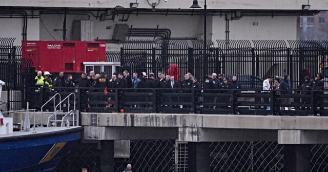 tour-operator-behind-fatal-nyc-helicopter-crash-closes-down