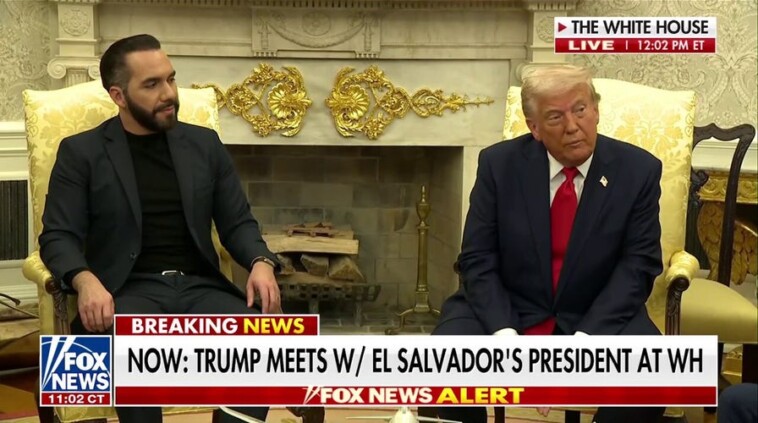 trump,-officials-have-tense-exchange-with-cnn-reporter-over-deportation-of-el-salvadoran-national