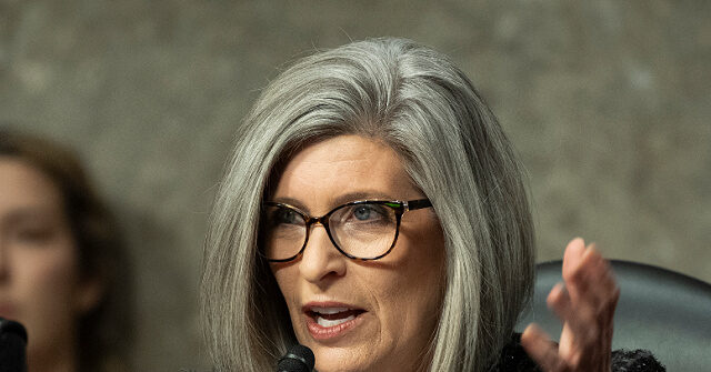 joni-ernst-proposes-to-sell-millions-of-dollars-of-irs-firearms-to-pay-off-national-debt