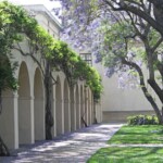 california-university’s-underhanded-move-sees-dei-program-saved,-promotion-for-its-assistant-vp
