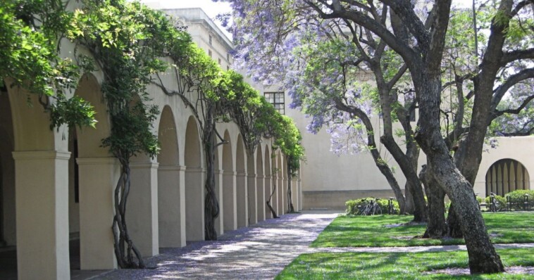 california-university’s-underhanded-move-sees-dei-program-saved,-promotion-for-its-assistant-vp