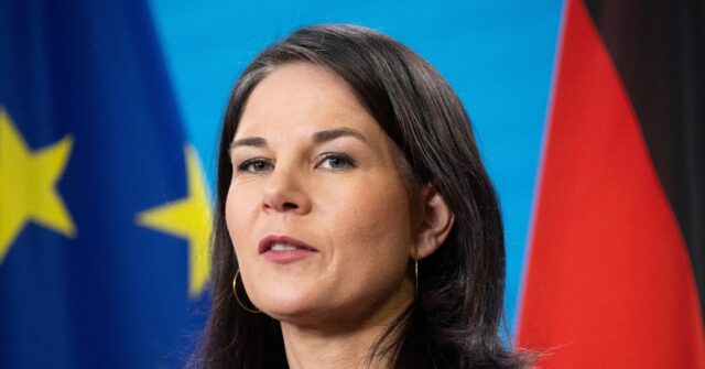 outgoing-german-foreign-minister-to-use-last-days-in-office-to-fly-in-afghan-migrants
