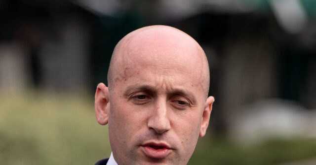 miller:-it-would-take-centuries-to-give-all-illegal-aliens-due-process-before-deportation