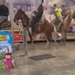 3-men,-1-teen-facing-multiple-charges-in-louisiana-for-riding-horses-in-walmart