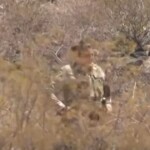 two-us-service-members-killed-near-southern-border
