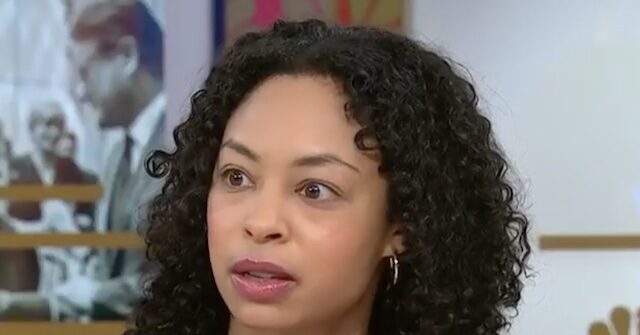 ny-times’-mara-gay:-violating-immigrants’-due-process-‘threatens-all-of-us’