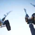 three-dead-in-tragic-boating-accident-at-major-fishing-league-tournament