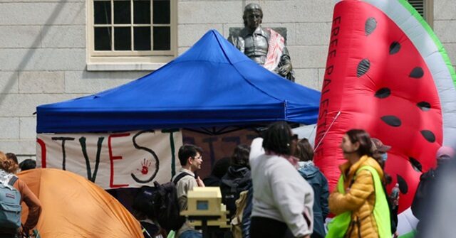harvard-prof.:-intellectual-diversity-is-important,-but-our-funds-shouldn’t-be-tied-to-it