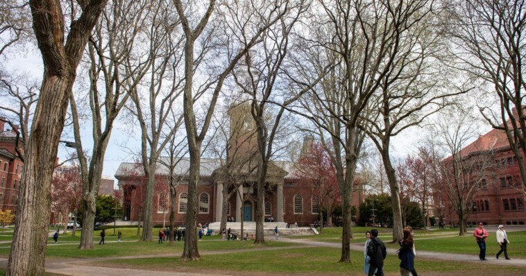billionaire-harvard-council-member-resigns-after-being-accused-of-shocking-hamas-ties