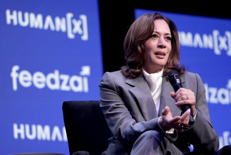 kamala-harris’-tentative-return-to-politics-is-a-dnc-fundraiser-where-tickets-start-at-$25k:-report