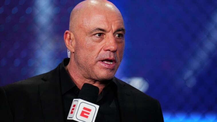 joe-rogan-gave-up-drinking-alcohol-for-this-one-simple-reason