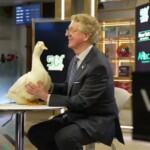 the-aflac-duck-turns-25!