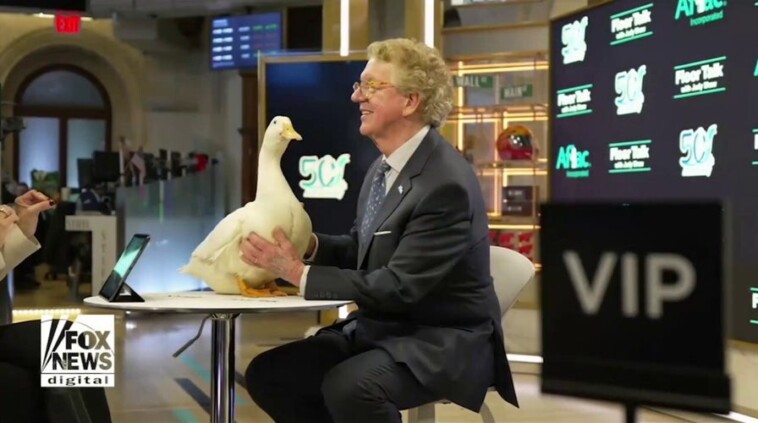 the-aflac-duck-turns-25!