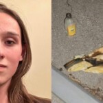 ‘you-will-spend-decades-behind-bars’:-fbi-arrests-college-student-over-tesla-arson-attack