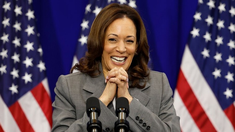 ex-vp-harris-returns-to-politics-to-headline-dnc-fundraiser-with-tickets-starting-at-$25,000
