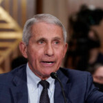 white-house-rips-fauci-in-revamped-covid-19-website-detailing-virus’s-‘true-origins’