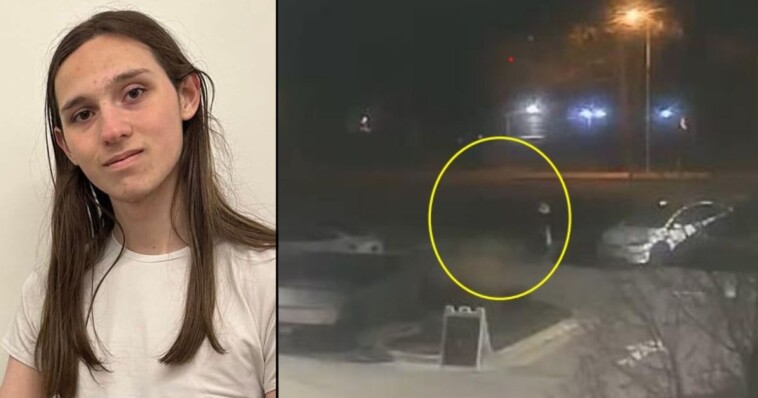 college-student-on-spring-break-spots-a-tesla,-ruins-life-with-next-alleged-move