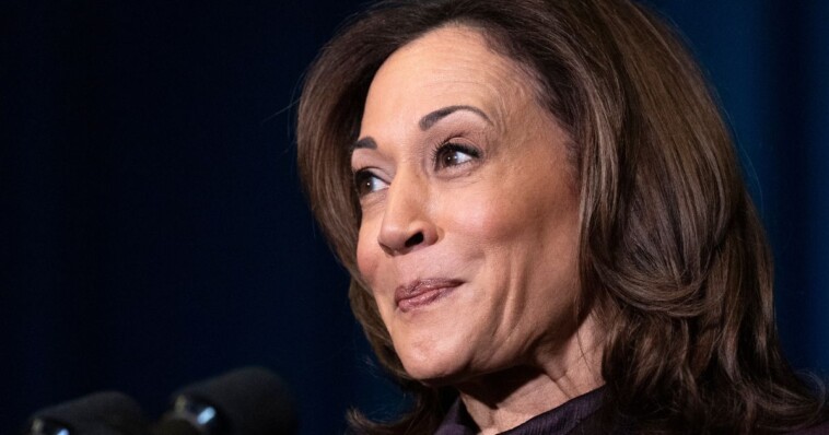 voters-send-crystal-clear-message-about-kamala-harris’-latest-plot:-dems-in-deep-trouble