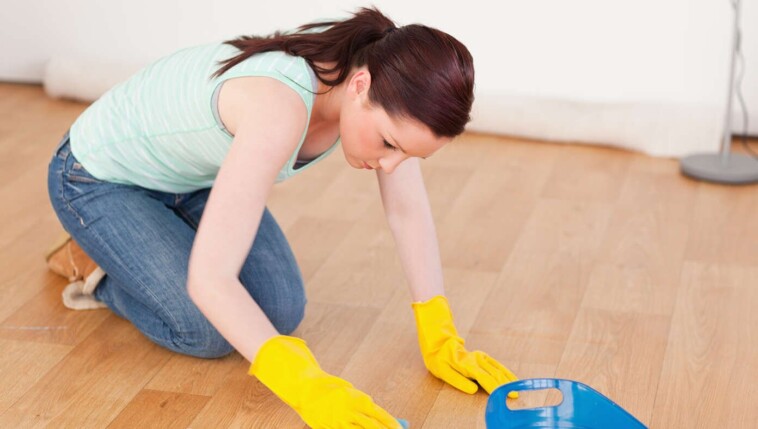 woman-hears-trumpets-indicating-christ’s-return,-frantically-begins-cleaning-house