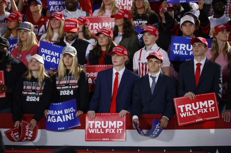 congressional-dems’-support-from-young-americans-hits-new-low-with-just-23%-approval-rating:-poll