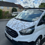 terrified-bar-goers-engulfed-by-swarm-of-3,000-bees:-‘something-out-of-a-horror-film’