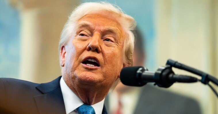trump-throws-support-behind-plan-to-incentivize-having-babies-by-offering-sizable-cash-bonuses