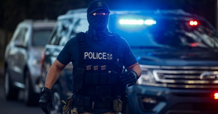 florida-teams-up-with-trump-admin-to-hit-illegal-aliens-with-unprecedented-‘operation-tidal-wave’