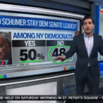 cnn-analyst-shocked-by-schumer’s-‘almost-unfathomable’-favorability-drop,-‘screams’-primary-challenge