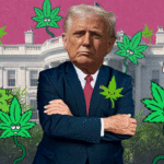 pot-inc.-tells-trump-it’s-high-time-to-loosen-federal-laws- 