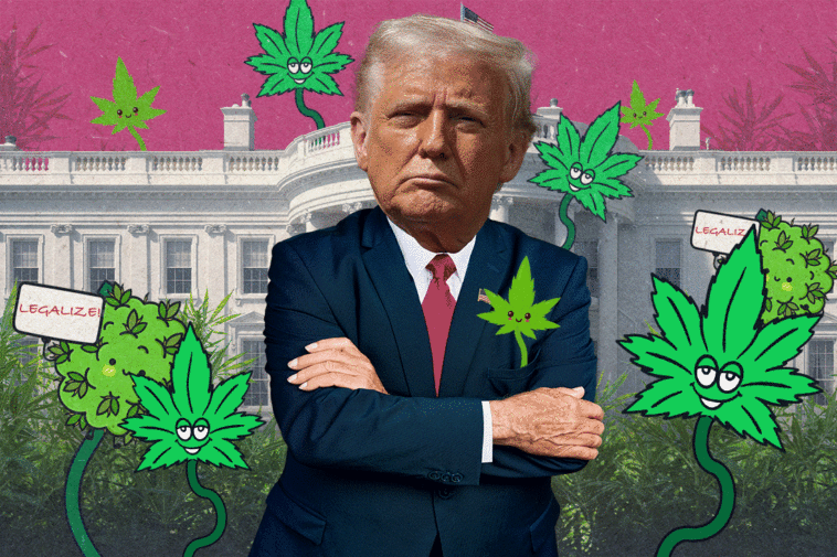 pot-inc.-tells-trump-it’s-high-time-to-loosen-federal-laws- 