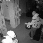 career-‘thief’-steals-$30k-in-wigs-from-brooklyn-shop-that-helps-cancer-patients