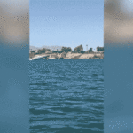 wild-video-shows-speedboat-crash-after-flying-through-air-at-popular-arizona-lake