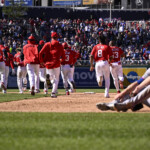 ryne-stanek-blows-another-save-as-mets’-bullpen-collapses-in-walk-off-loss-to-nationals