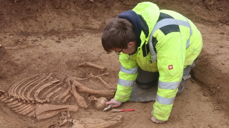 archaeologists-uncover-massive-number-of-horse-skeletons-at-‘important’-roman-military-site