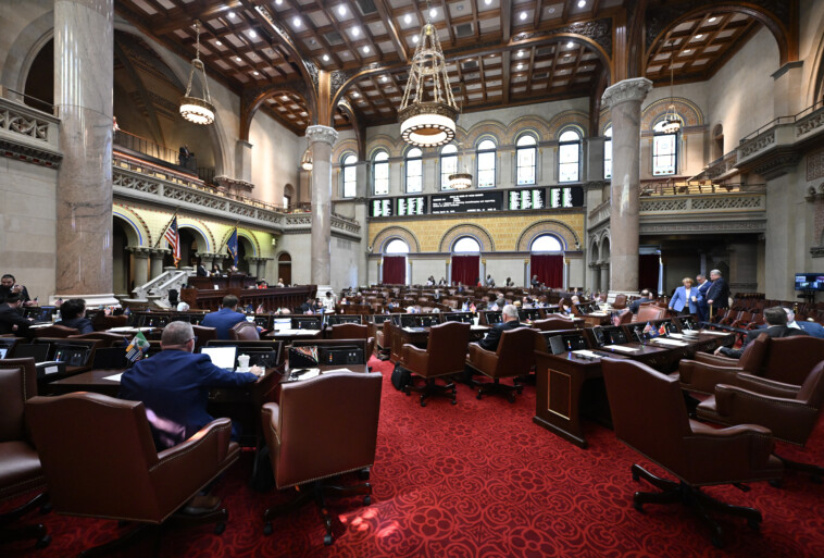 ny-state-assembly-passes-controversial-assisted-suicide-bill-after-5-hours-of-emotional-debate
