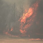 dangerous-fires-rage-in-israel,-national-emergency-declared-palestinians-call-for-more-arson.