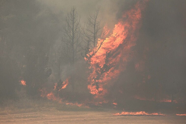 dangerous-fires-rage-in-israel,-national-emergency-declared-palestinians-call-for-more-arson.