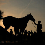 2025-kentucky-derby-odds,-betting,-lines:-best-bets,-picks-for-151st-kentucky-derby