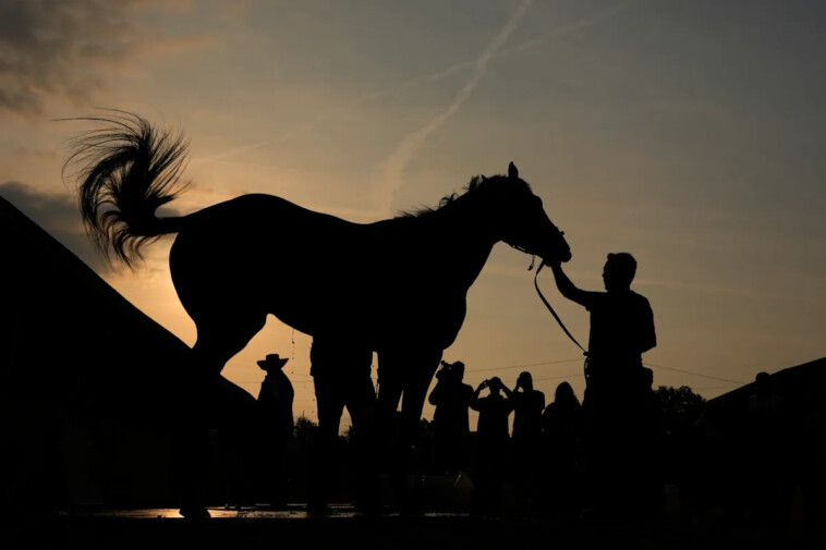 2025-kentucky-derby-odds,-betting,-lines:-best-bets,-picks-for-151st-kentucky-derby