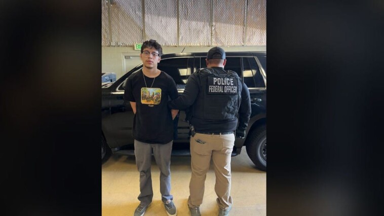illegal-immigrant-with-weapons-conviction-arrested-in-california-as-ice-targets-criminals