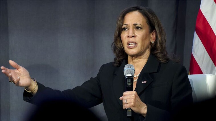 kamala-harris-comes-knives-out-against-trump-in-first-speech-since-leaving-office:-‘absolute-chaos’