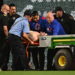baseball-fan-plummets-from-stands-to-ground-during-pirates-cubs-game