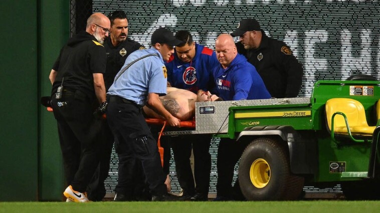 baseball-fan-plummets-from-stands-to-ground-during-pirates-cubs-game