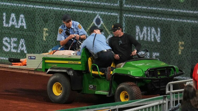 baseball-fan-in-critical-condition-after-21-foot-fall-from-stands-at-pirates-cubs-game