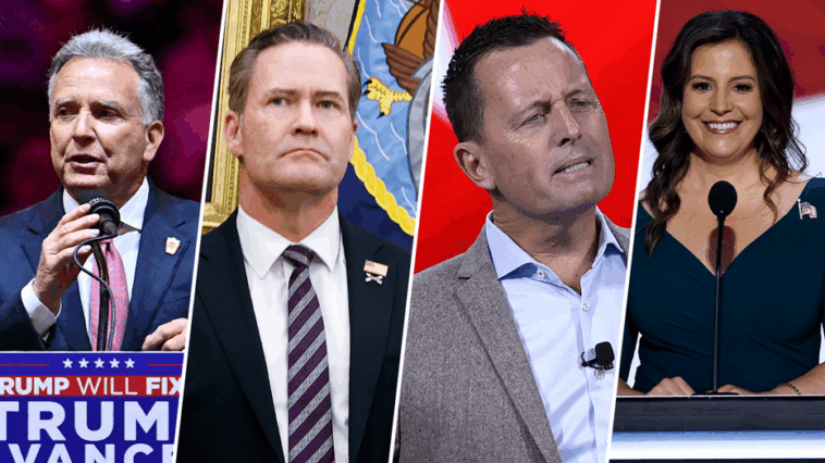 next-us-national-security-advisor?-here’s-who-trump-might-pick-to-replace-waltz