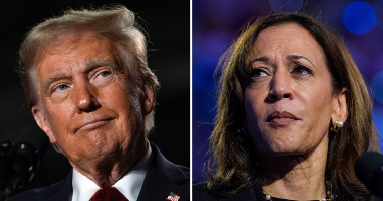 terrible-poll-for-dems:-after-100-days-of-media-nuking-him,-trump-would-still-beat-harris