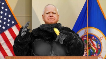 tim-walz-volunteers-to-wear-gorilla-suit-and-wrestle-100-men