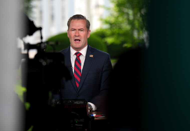 trump-taps-mike-waltz-as-new-un-ambassador,-rubio-as-acting-national-security-adviser